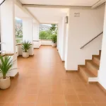 Isla Apartment *